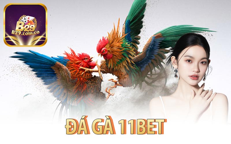 Đá Gà 11Bet