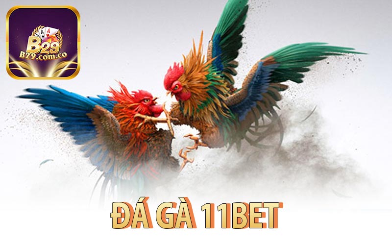 Đá Gà 11Bet