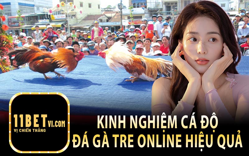 Kinh Nghiệm Cá Độ Gà Tre Online Hiệu Quả