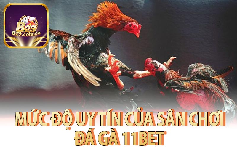 Mức Độ Uy Tín Của Sân Chơi Đá Gà 11Bet