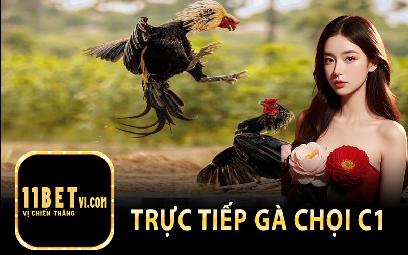 Trực Tiếp Gà Chọi C1