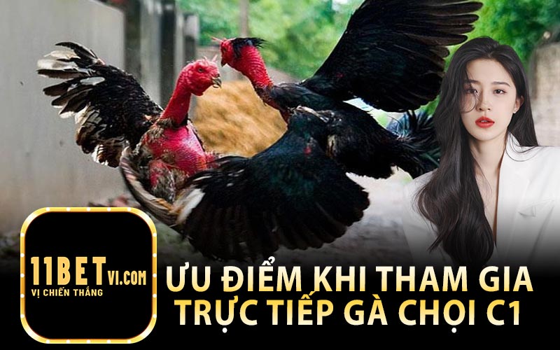 Ưu Điểm Khi Tham Gia Trực Tiếp Gà Chọi C1